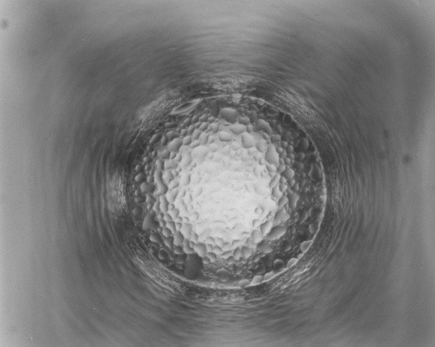 X0000060771106200511141250