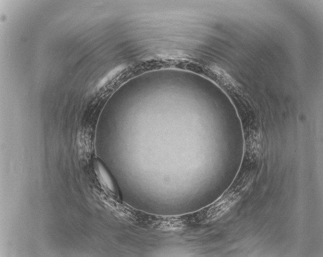 X0000060771110200511141250