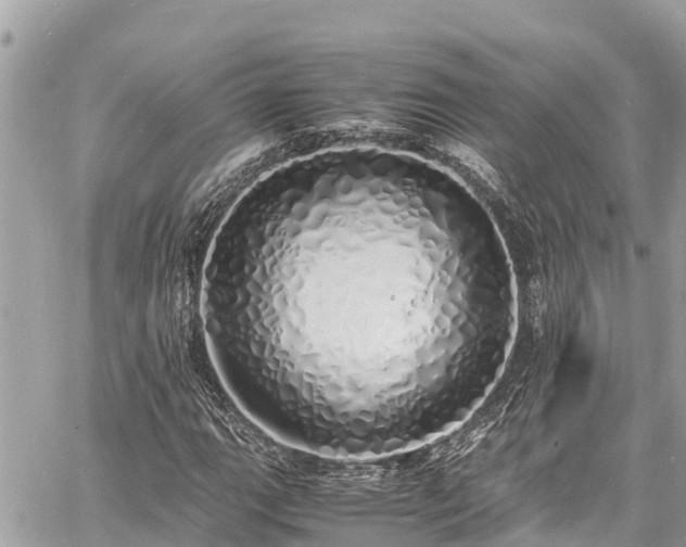 X0000060771111200511141250