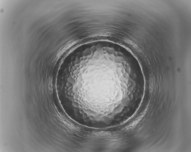 X0000060771113200511141250