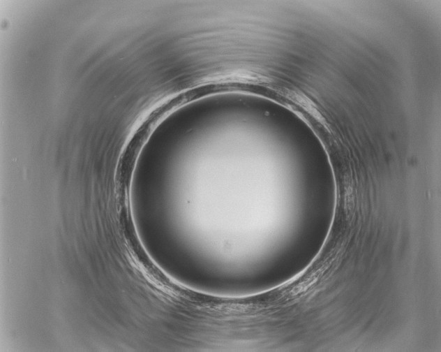 X0000060771116200511141250