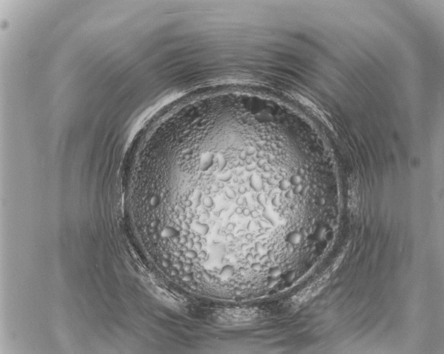 X0000060771117200511141250