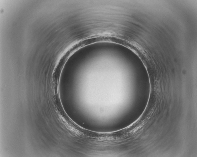 X0000060771118200511141250