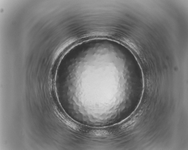 X0000060771119200511141250