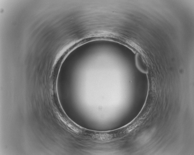 X0000060771120200511141250