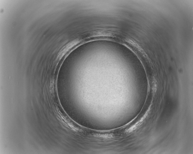 X0000060771121200511141250