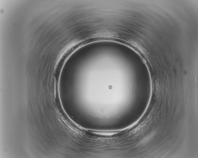 X0000060771123200511141250