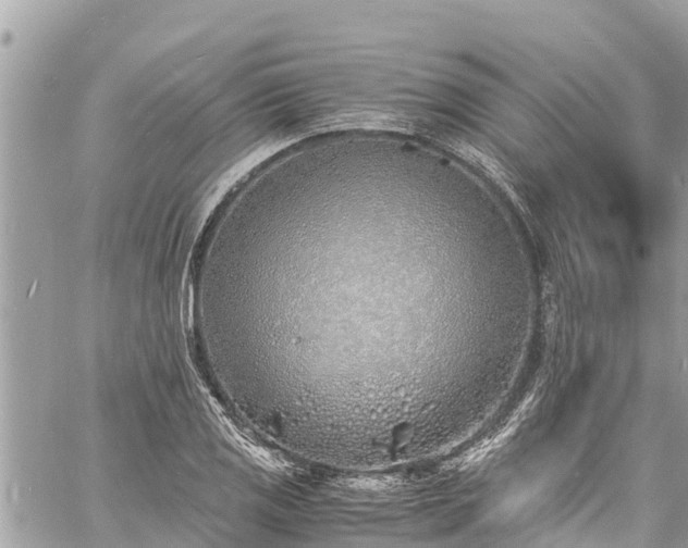 X0000060771125200511141250