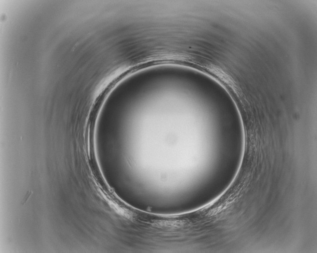 X0000060771127200511141250