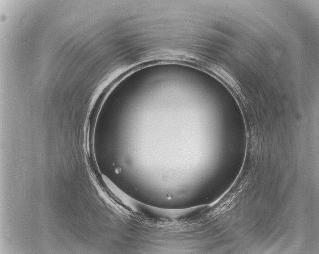 X0000060771128200511141250