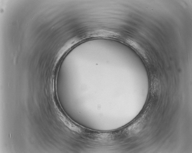 X0000060771130200511141250