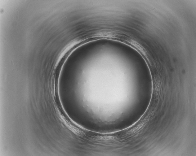 X0000060771131200511141250