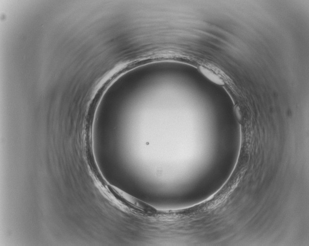 X0000060771134200511141250