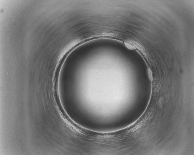 X0000060771135200511141250