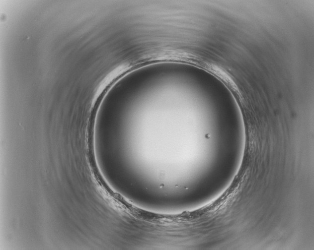 X0000060771138200511141250