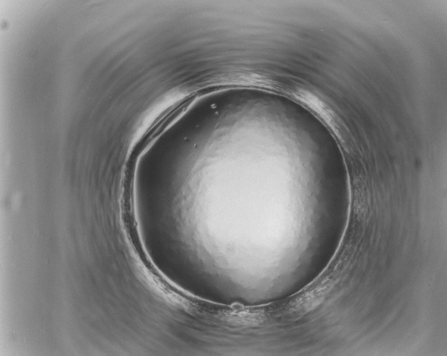 X0000060771139200511141250