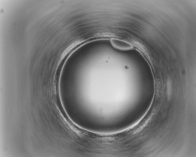 X0000060771141200511141250