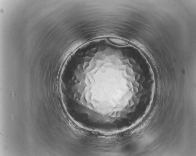 X0000060771145200511141250