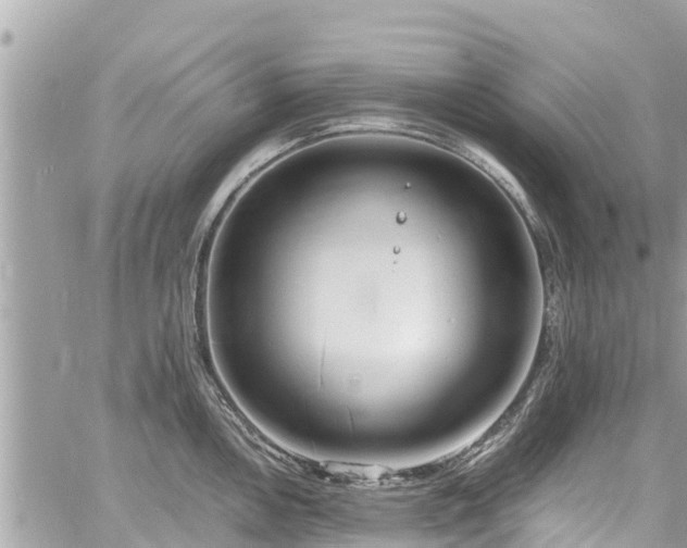 X0000060771146200511141250