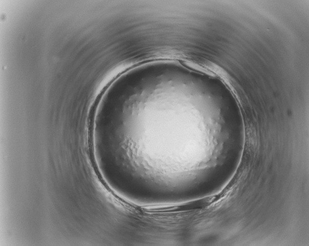 X0000060771147200511141250