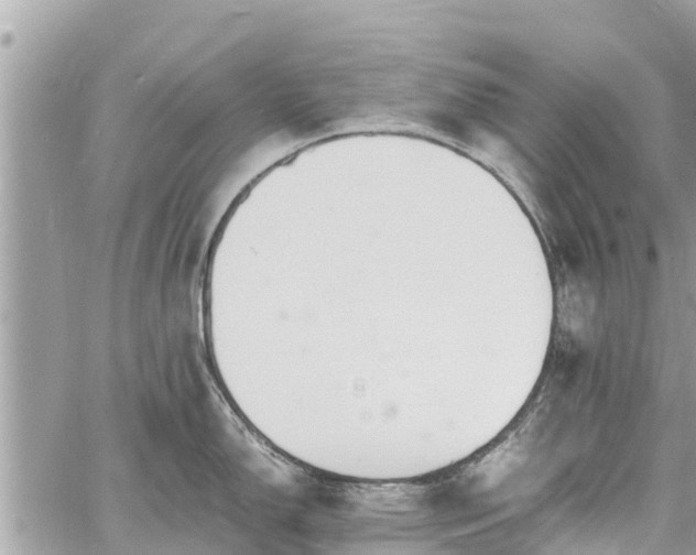 X0000060771150200511141250