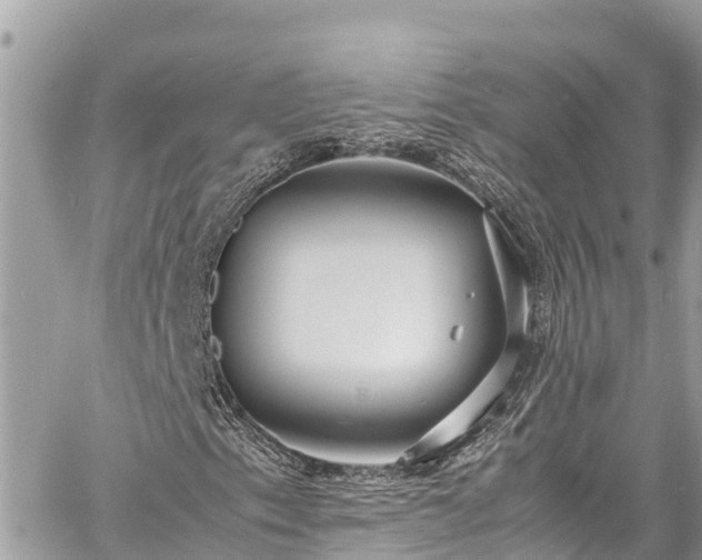 X0000060771153200511141250