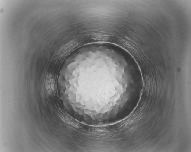 X0000060771154200511141250