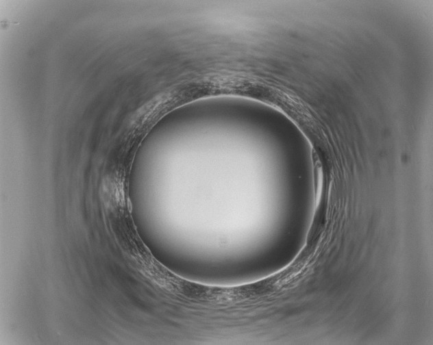 X0000060771155200511141250