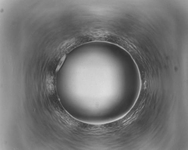 X0000060771156200511141250