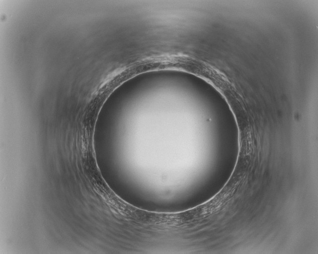 X0000060771158200511141250