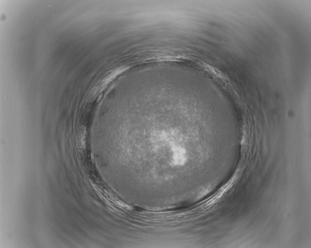 X0000060771161200511141250