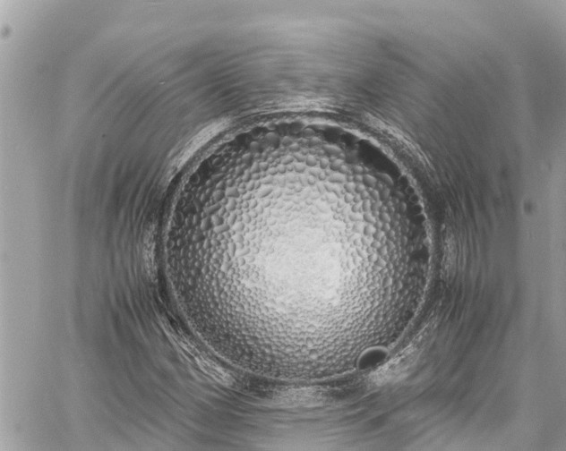 X0000060771162200511141250