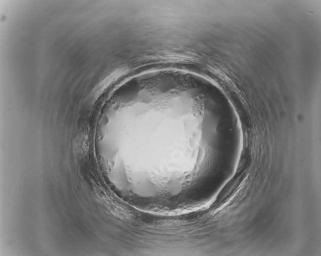 X0000060771163200511141250