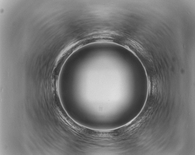 X0000060771164200511141250