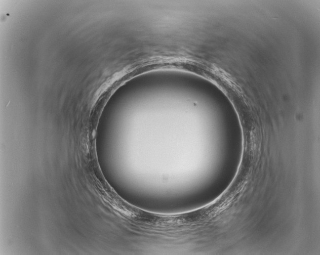 X0000060771165200511141250