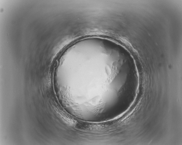 X0000060771167200511141249