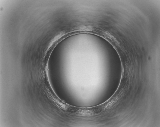 X0000060771168200511141249