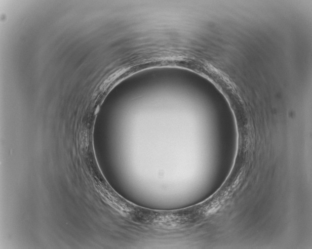 X0000060771169200511141249