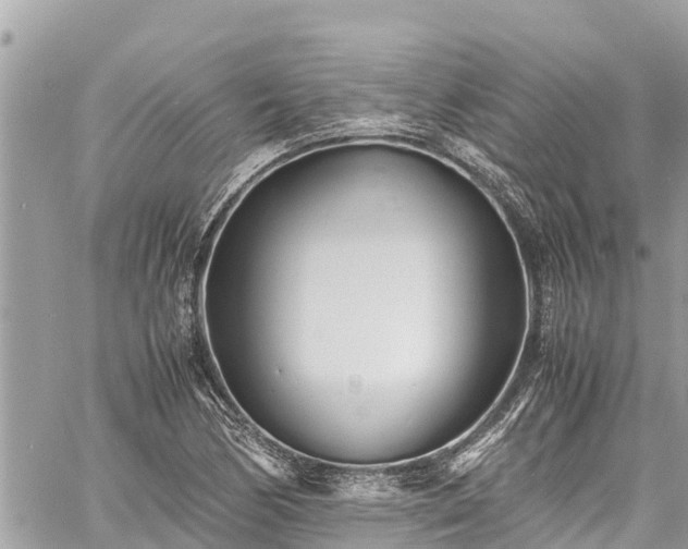 X0000060771170200511141249