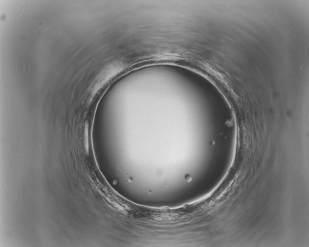 X0000060771171200511141249