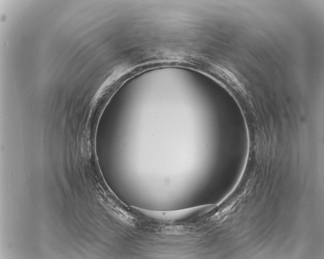 X0000060771172200511141249