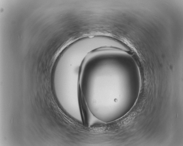 X0000060771173200511141249