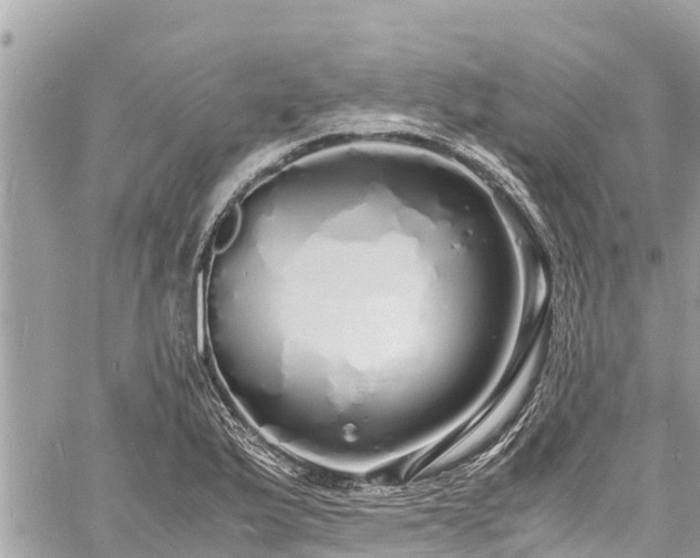 X0000060771175200511141249