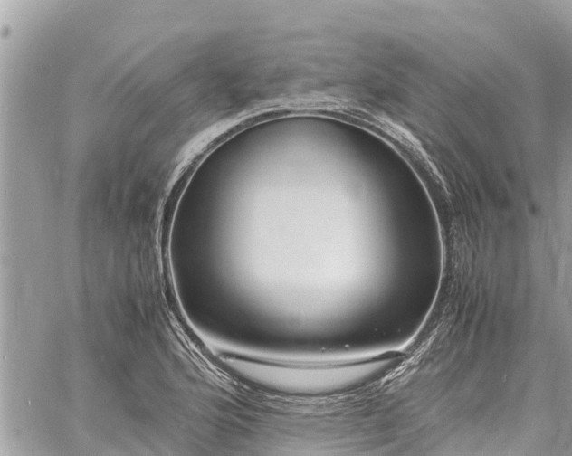 X0000060771176200511141249