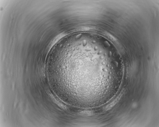 X0000060771178200511141249