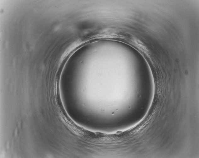 X0000060771179200511141249