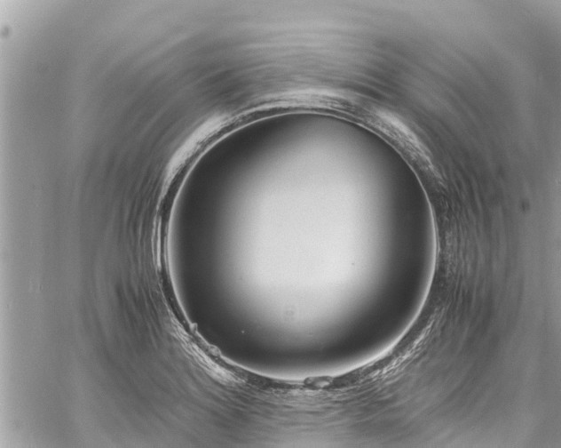 X0000060771180200511141249