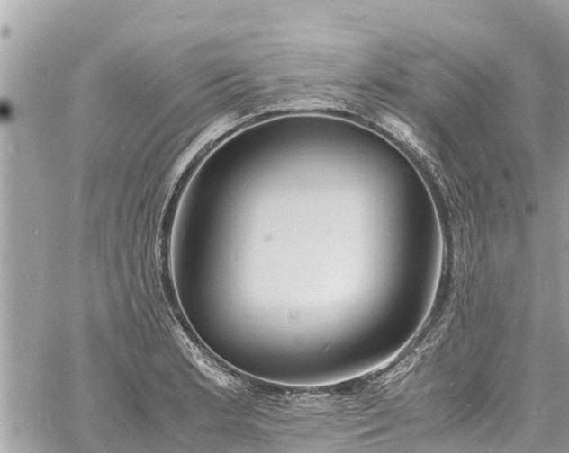 X0000060771181200511141249