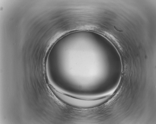 X0000060771184200511141249