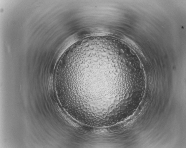 X0000060771186200511141249